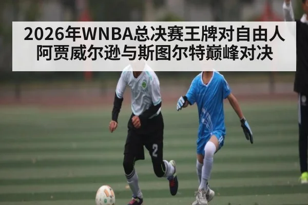 2026年WNBA总决赛王牌对自由人 阿贾威尔逊与斯图尔特巅峰对决