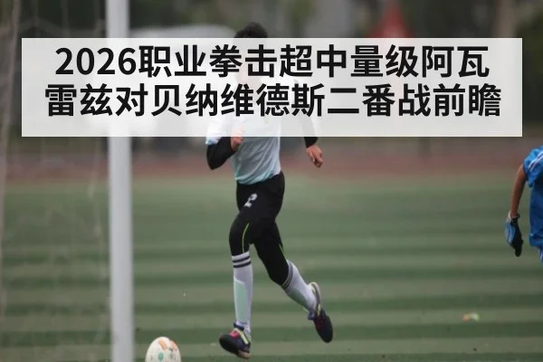 2026职业拳击超中量级阿瓦雷兹对贝纳维德斯二番战前瞻